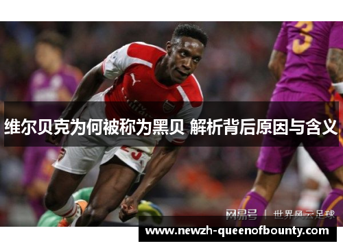 维尔贝克为何被称为黑贝 解析背后原因与含义 维尔贝克为何被称为黑贝 解析背后原因与含义