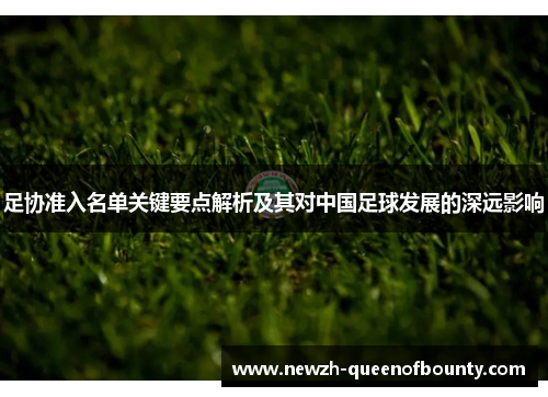 足协准入名单关键要点解析及其对中国足球发展的深远影响
