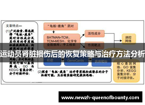 运动员肾脏损伤后的恢复策略与治疗方法分析