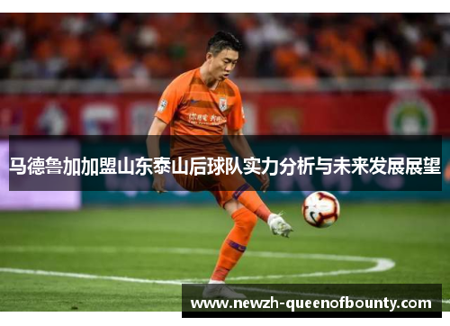 马德鲁加加盟山东泰山后球队实力分析与未来发展展望