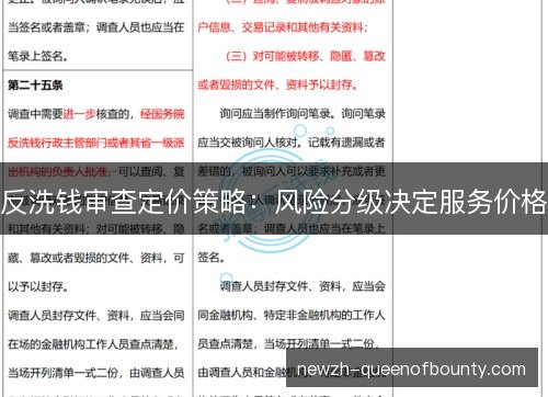 反洗钱审查定价策略：风险分级决定服务价格
